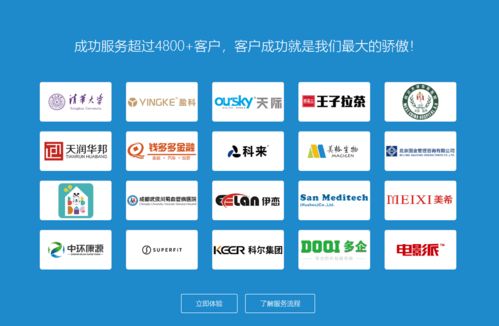 业务流管理系统哪家好